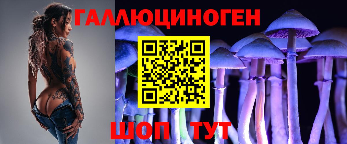 Псилоцибиновые грибы ЛСД  Вход с VPN  Галлюциногенные грибы Psilocybe  Новороссийск 