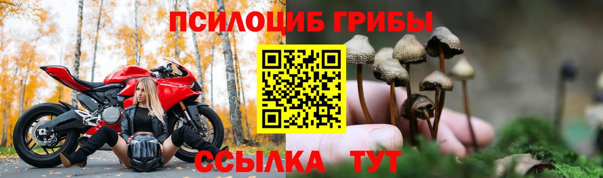 Галлюциногенные грибы мицелий Новороссийск